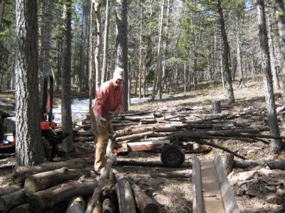 Don't Put Off Until Tomorrow Image